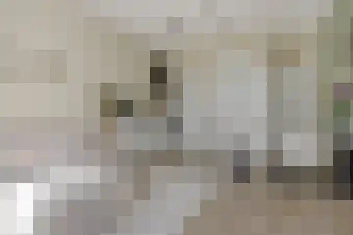 Albert Schweitzerstraat 65 Deurne thumbnail 4