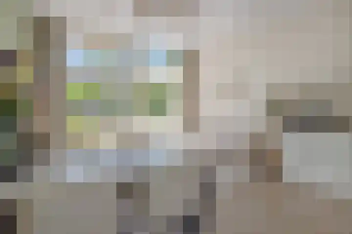 Albert Schweitzerstraat 65 Deurne thumbnail 5