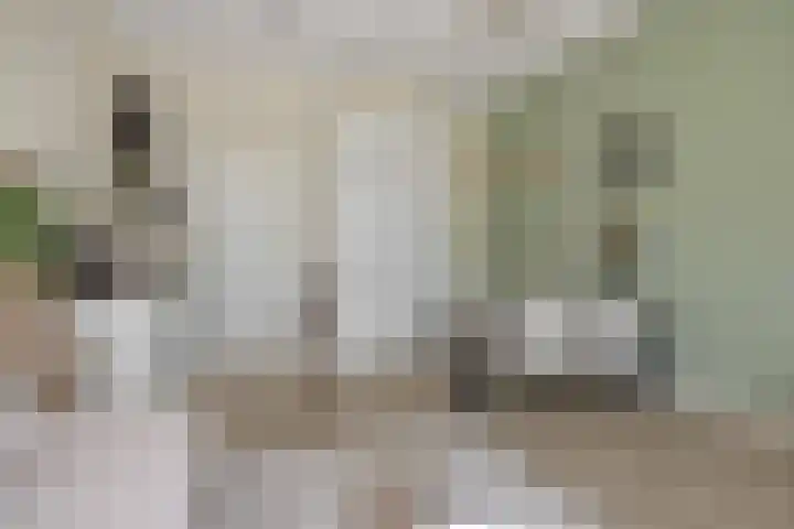 Albert Schweitzerstraat 65 Deurne thumbnail 7
