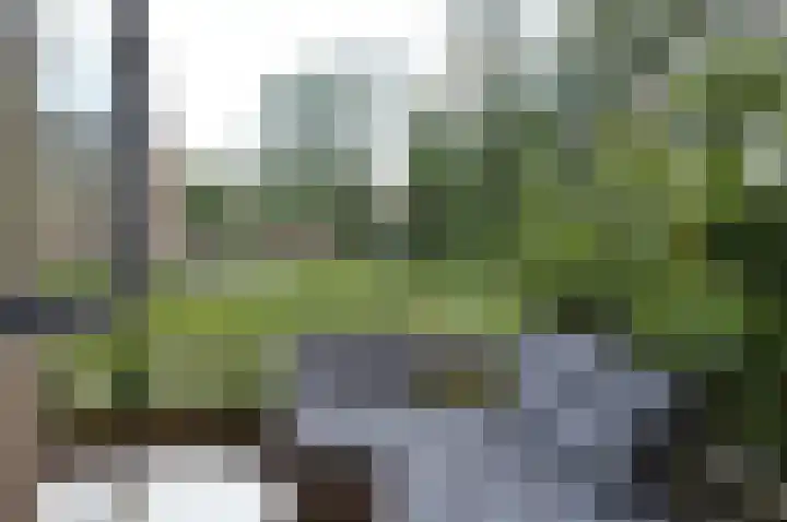Albert Schweitzerstraat 69 Deurne thumbnail 15