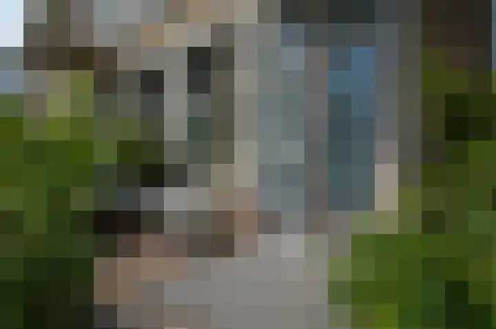 Albert Schweitzerstraat 69 Deurne thumbnail 17