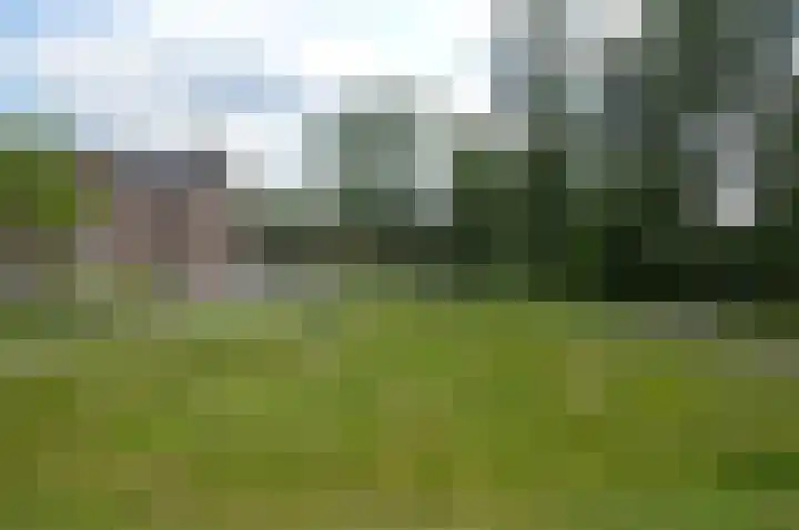 Albert Schweitzerstraat 69 Deurne thumbnail 18