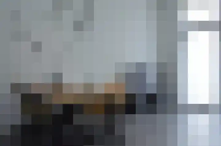 Albert Schweitzerstraat 69 Deurne thumbnail 8