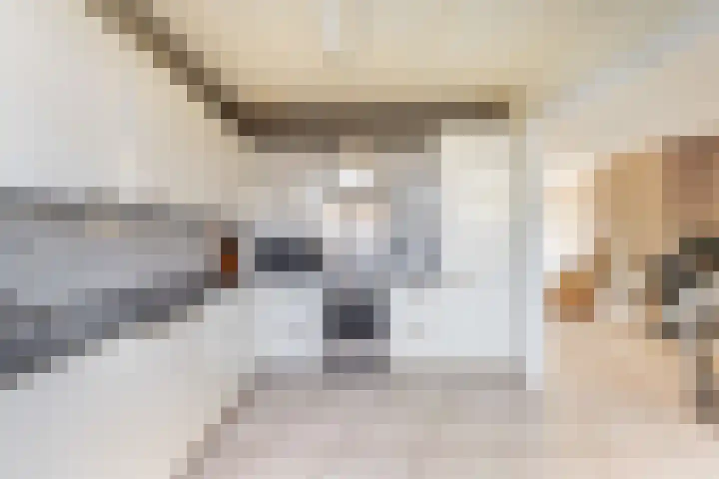 Albert Schweitzerstraat 82 Papendrecht thumbnail 4