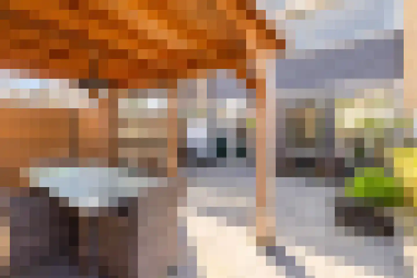 Albert Schweitzerstraat 82 Papendrecht thumbnail 41
