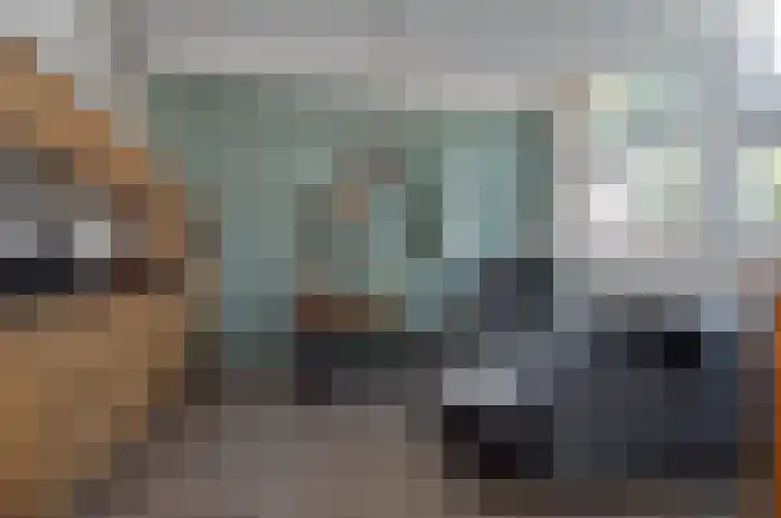 Albert Schweitzerstraat 87 Deurne thumbnail 5