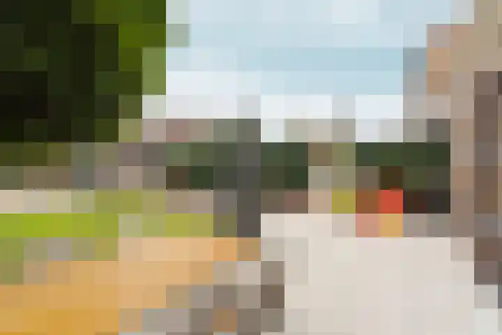 Albert Schweitzerstraat 9 Arnhem thumbnail 33