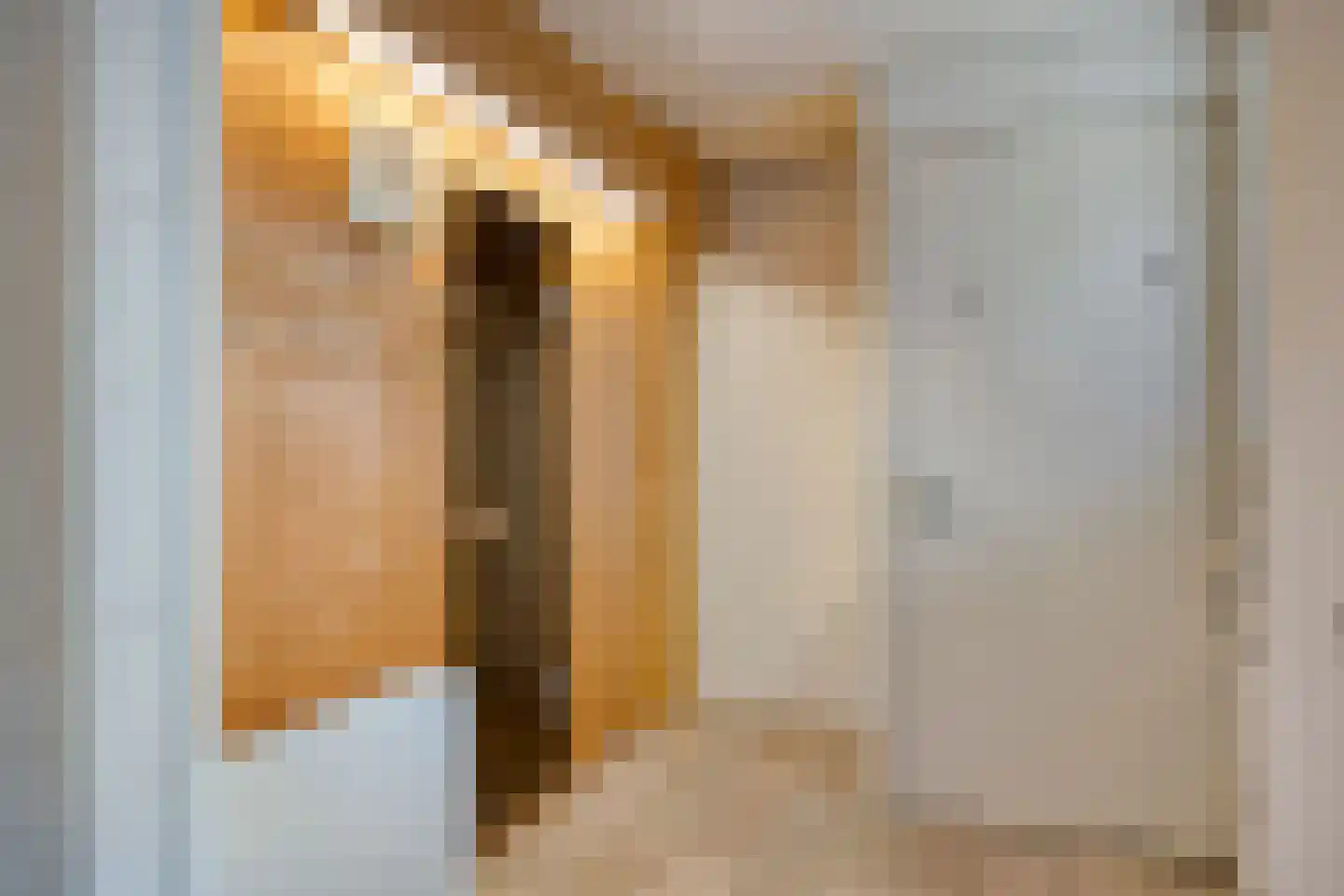 Albert Servaesstraat 2 Waalwijk thumbnail 32