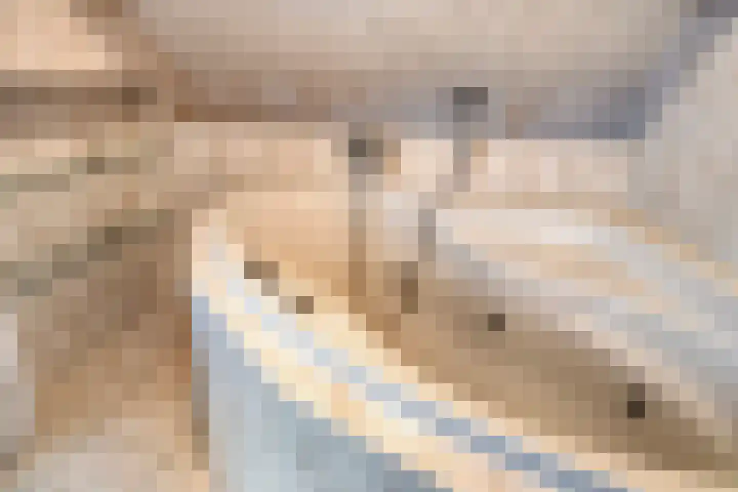 Albert Servaesstraat 2 Waalwijk thumbnail 39