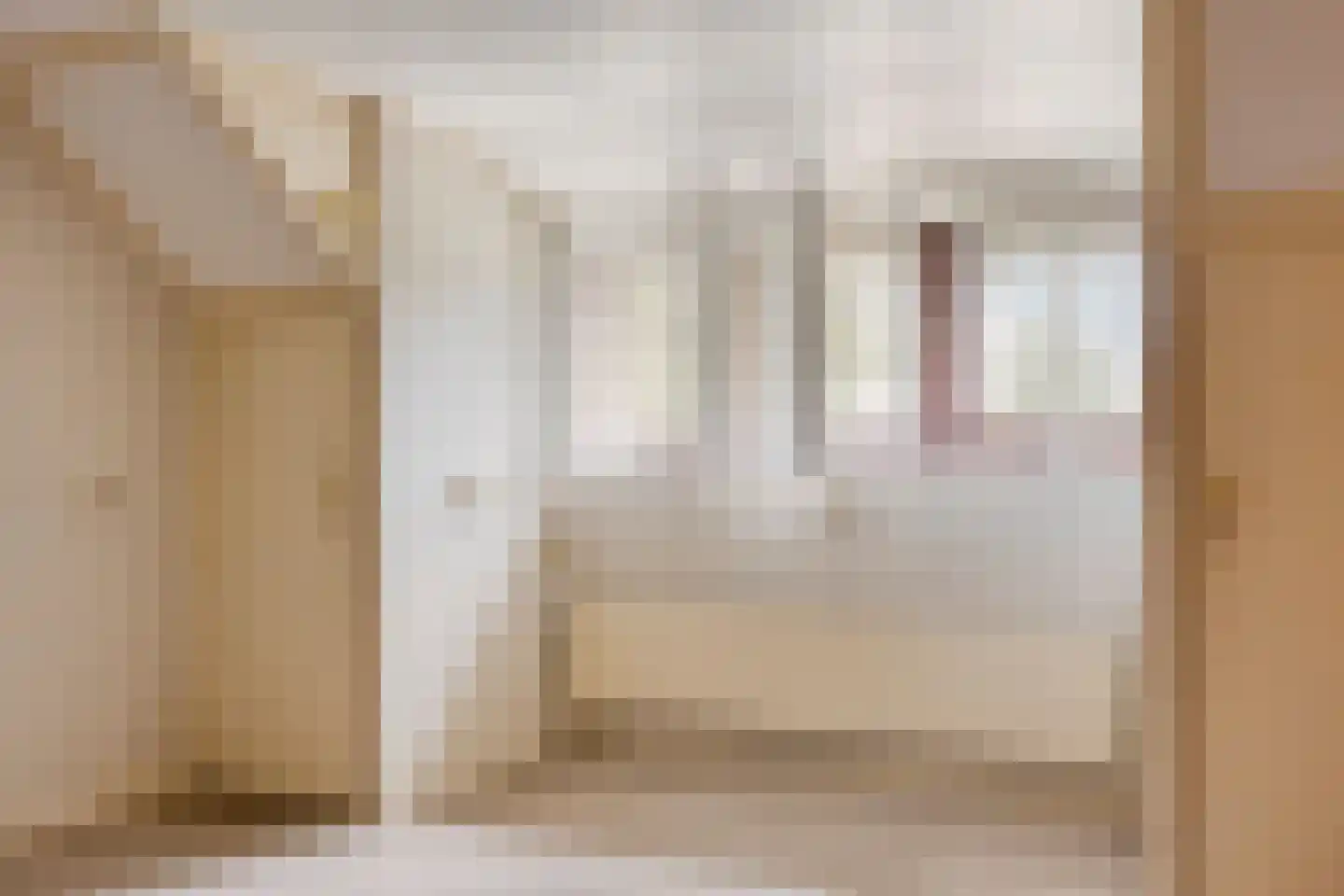 Albert Servaesstraat 2 Waalwijk thumbnail 40