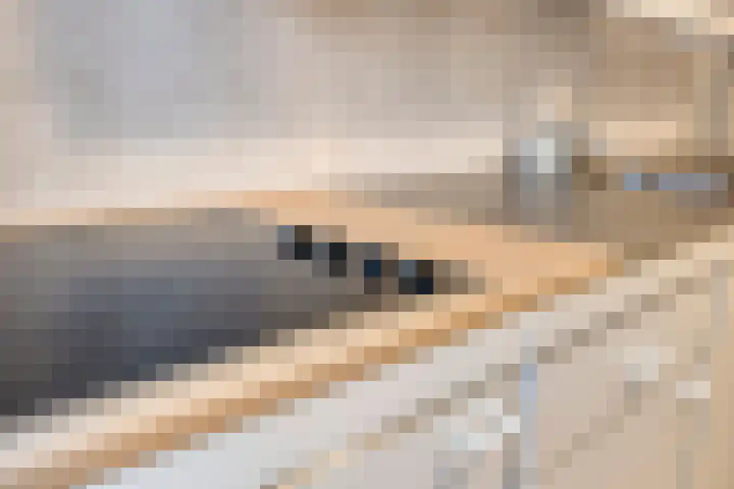 Albert Servaesstraat 2 Waalwijk thumbnail 45