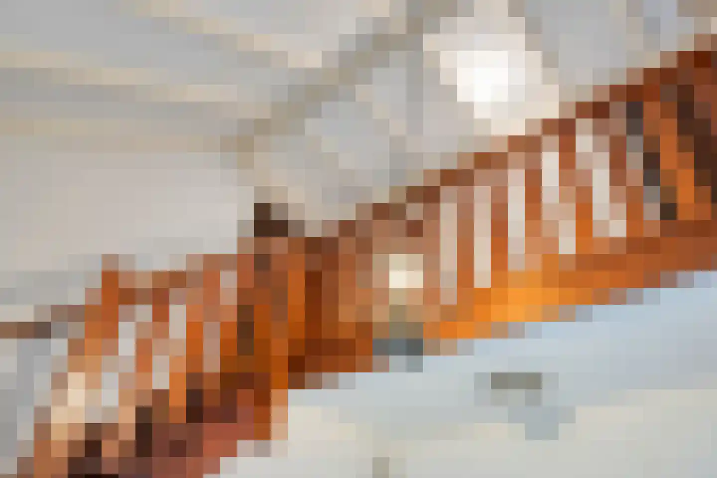 Albert Servaesstraat 2 Waalwijk thumbnail 9