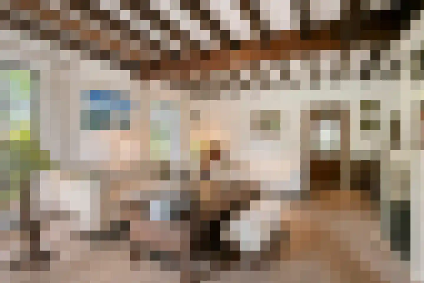 Albert Servaesstraat 6 Waalwijk thumbnail 13