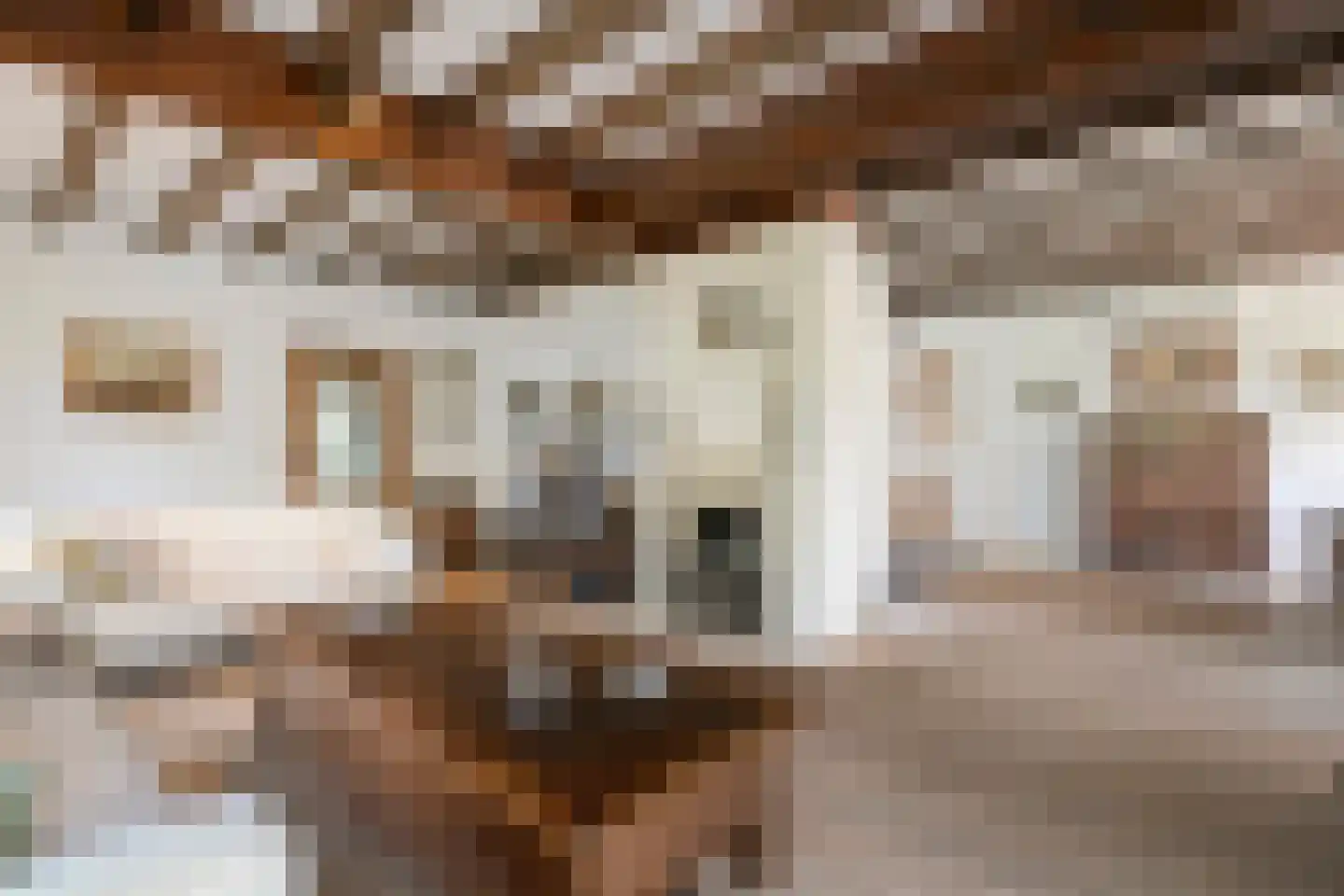 Albert Servaesstraat 6 Waalwijk thumbnail 15
