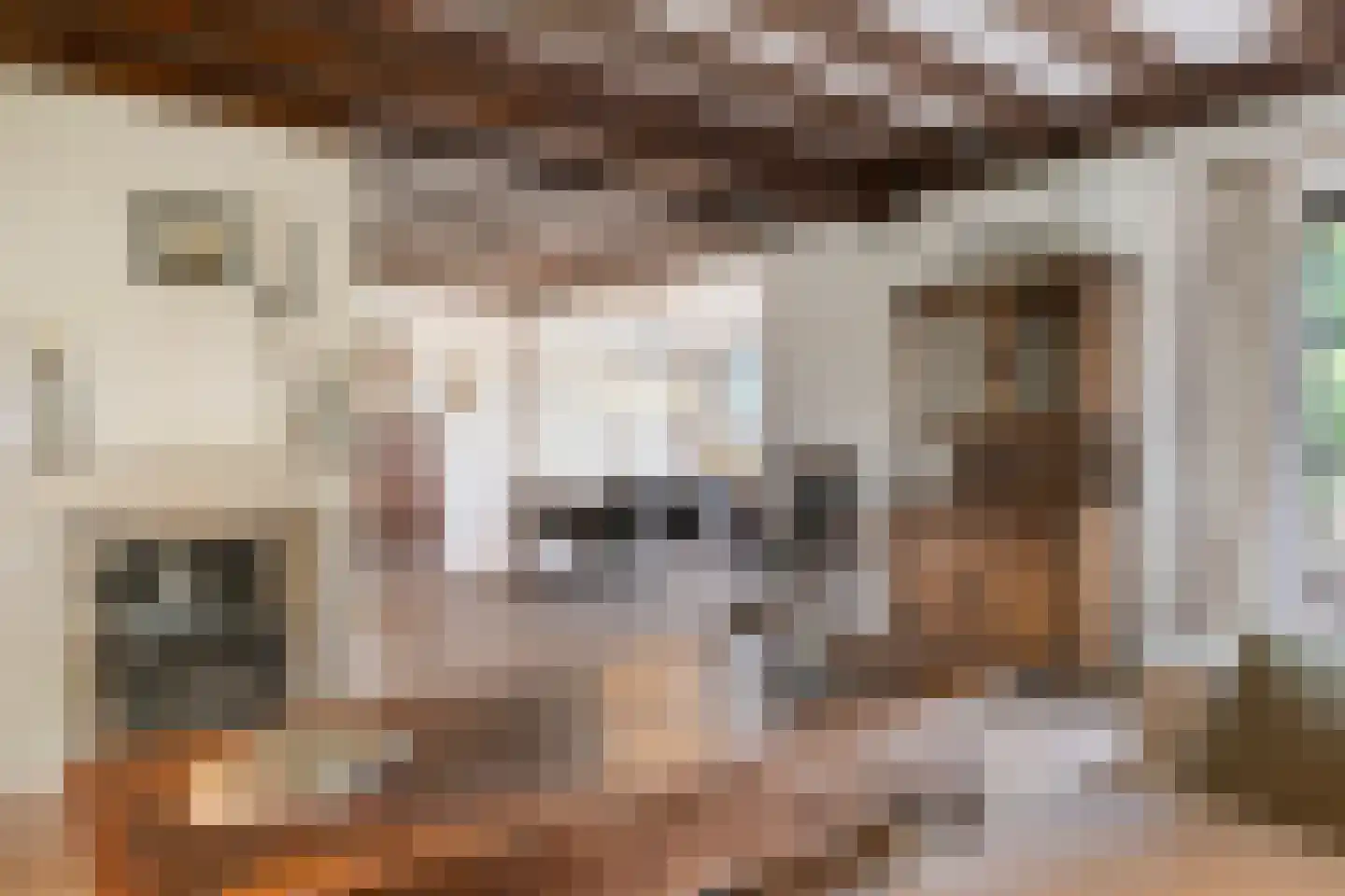 Albert Servaesstraat 6 Waalwijk thumbnail 16