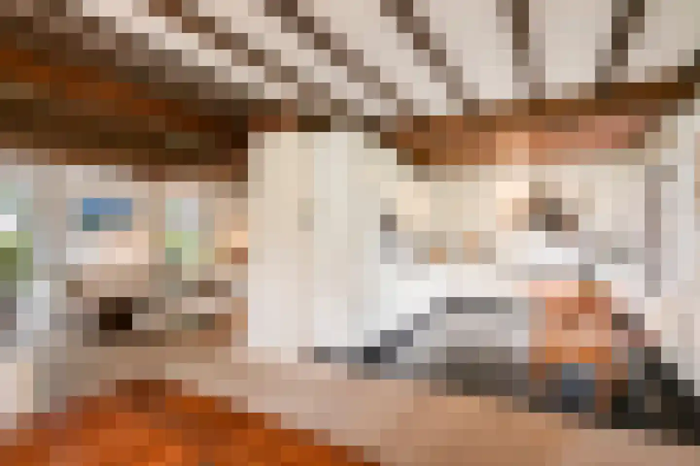 Albert Servaesstraat 6 Waalwijk thumbnail 20