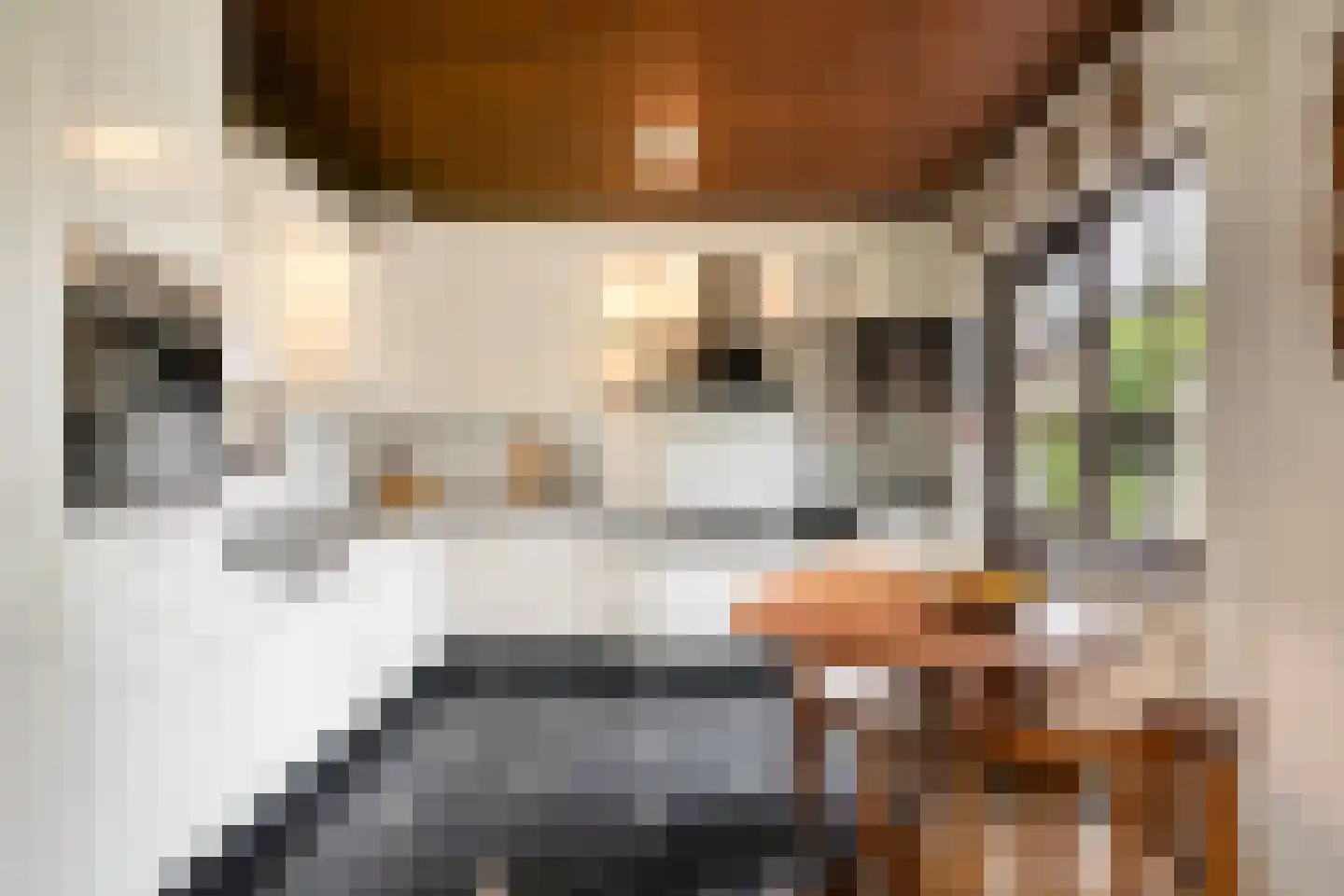 Albert Servaesstraat 6 Waalwijk thumbnail 21