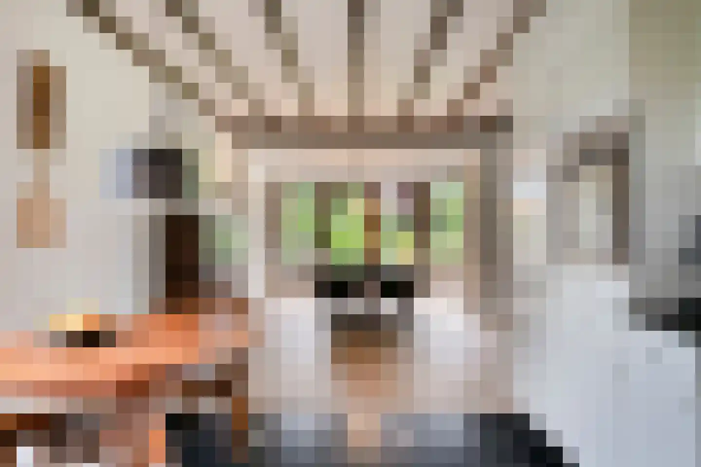 Albert Servaesstraat 6 Waalwijk thumbnail 24