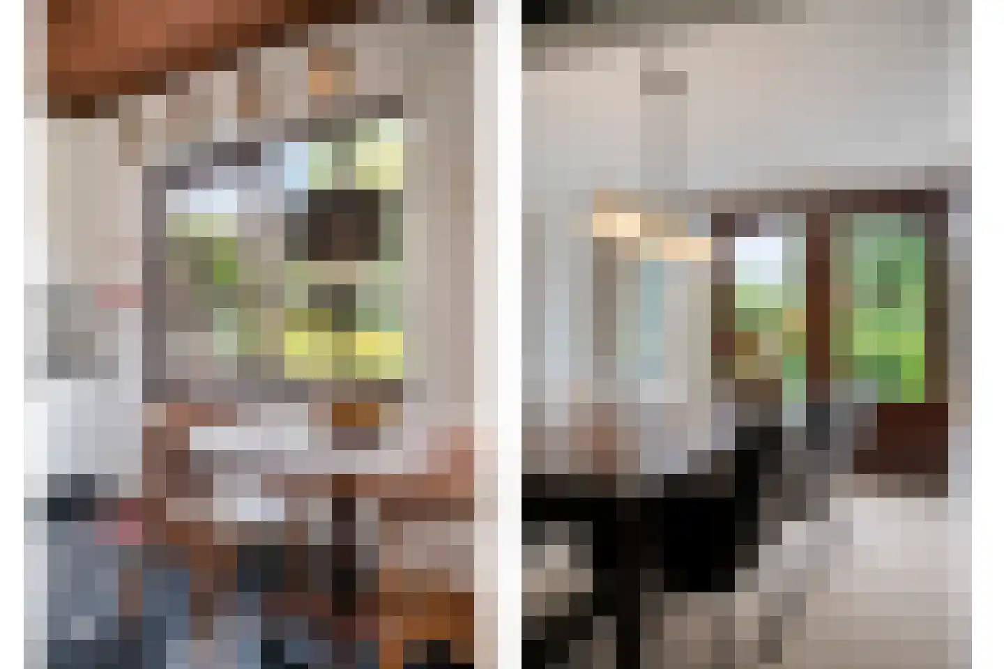 Albert Servaesstraat 6 Waalwijk thumbnail 26