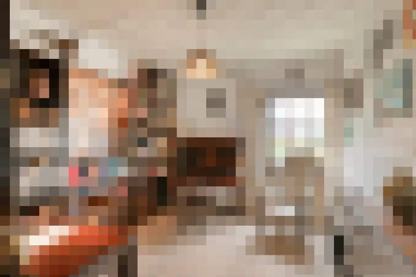 Albert Servaesstraat 6 Waalwijk thumbnail 35