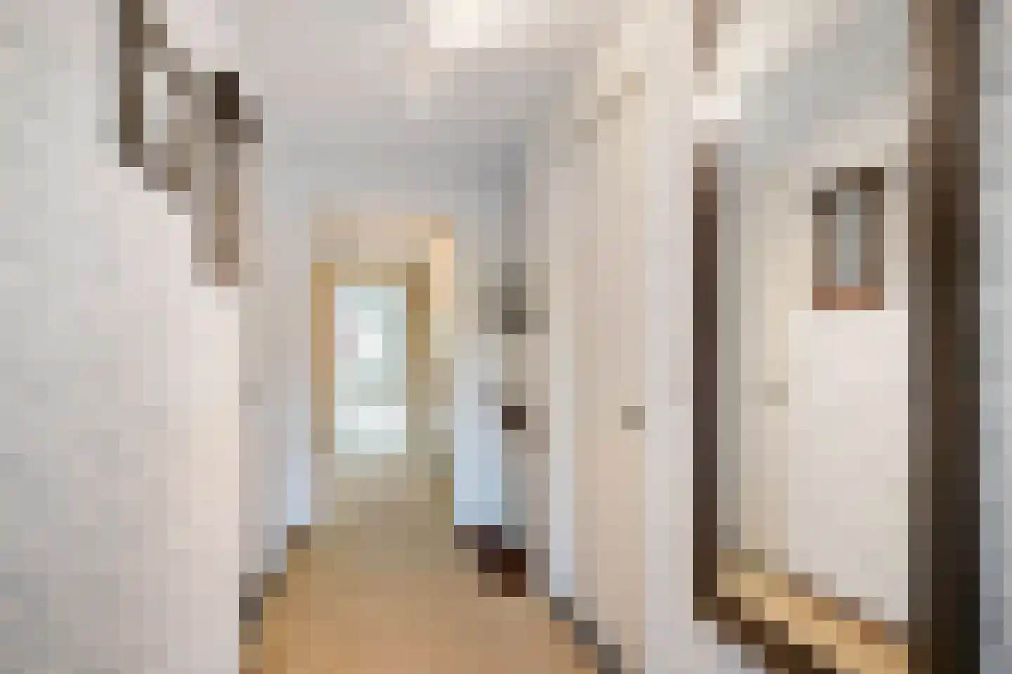 Albert Servaesstraat 6 Waalwijk thumbnail 38