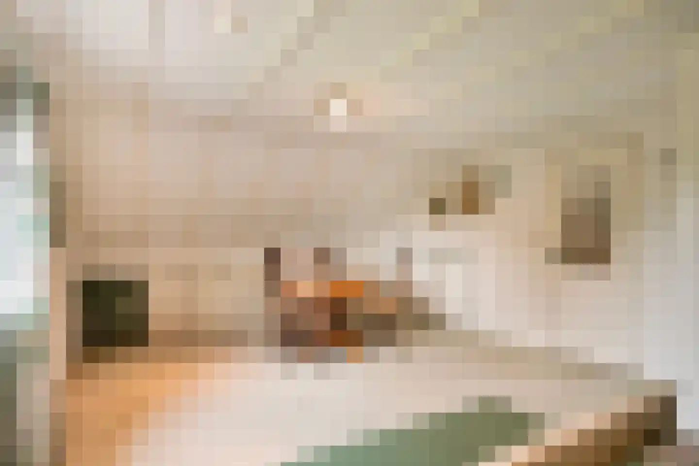 Albert Servaesstraat 6 Waalwijk thumbnail 42