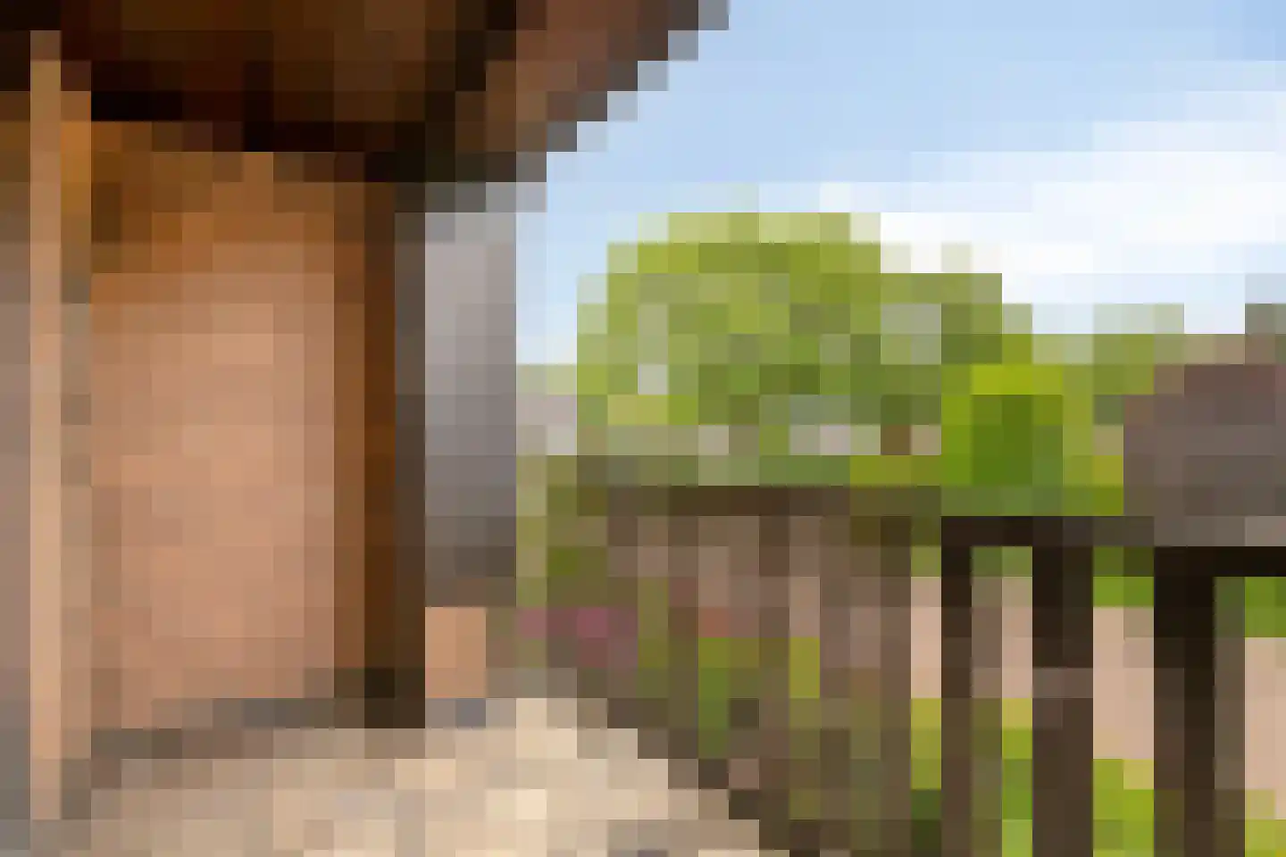 Albert Servaesstraat 6 Waalwijk thumbnail 47