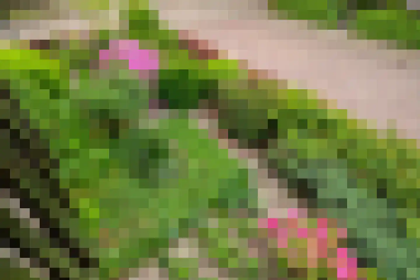 Albert Servaesstraat 6 Waalwijk thumbnail 50