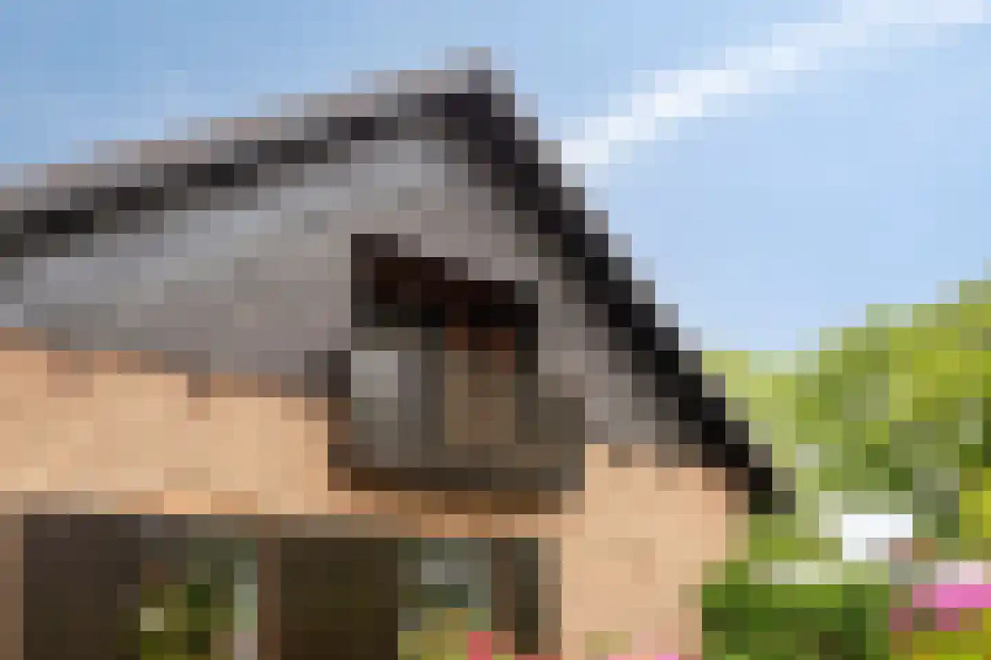 Albert Servaesstraat 6 Waalwijk thumbnail 51