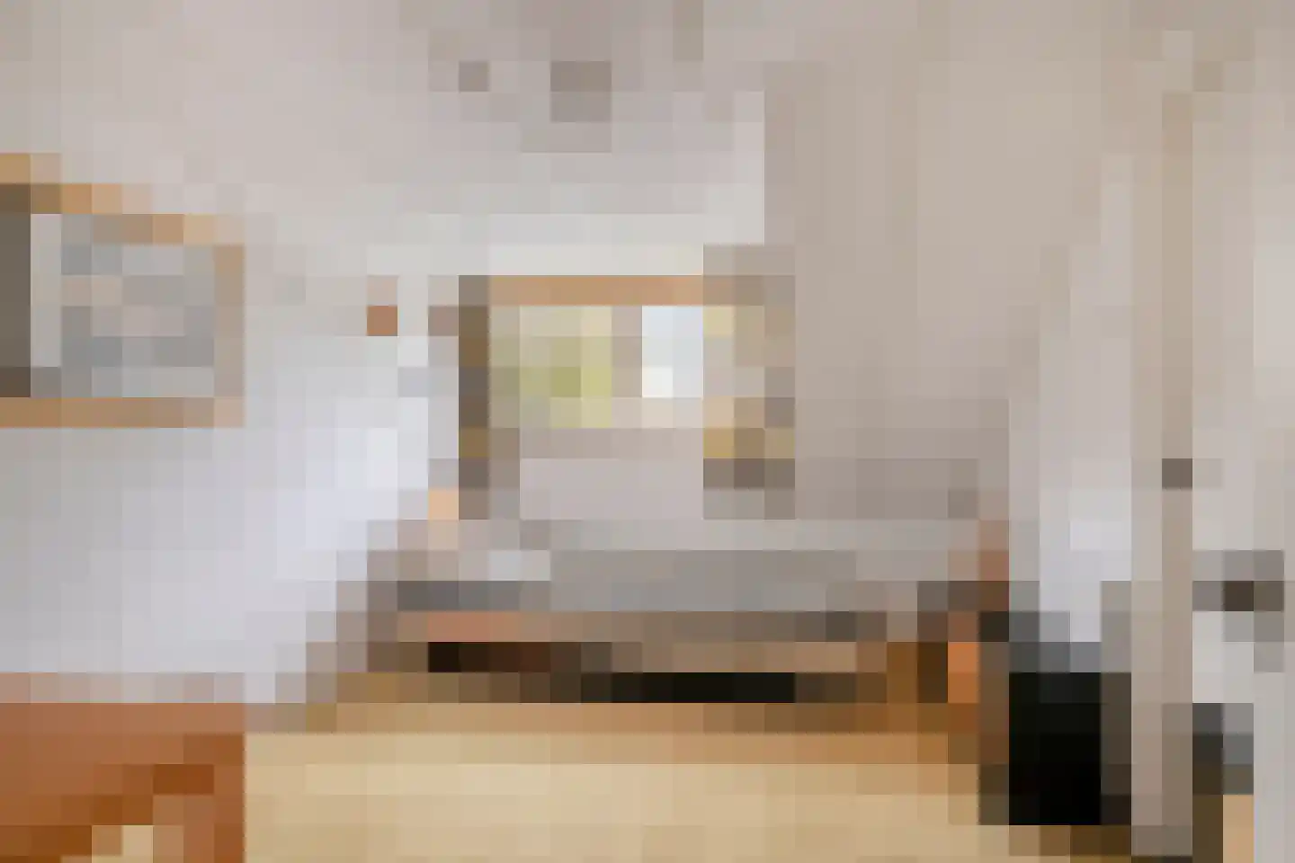 Albert Servaesstraat 6 Waalwijk thumbnail 52