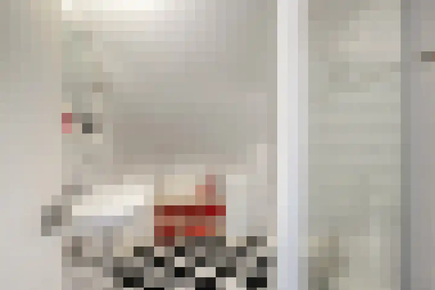 Albert Servaesstraat 6 Waalwijk thumbnail 54