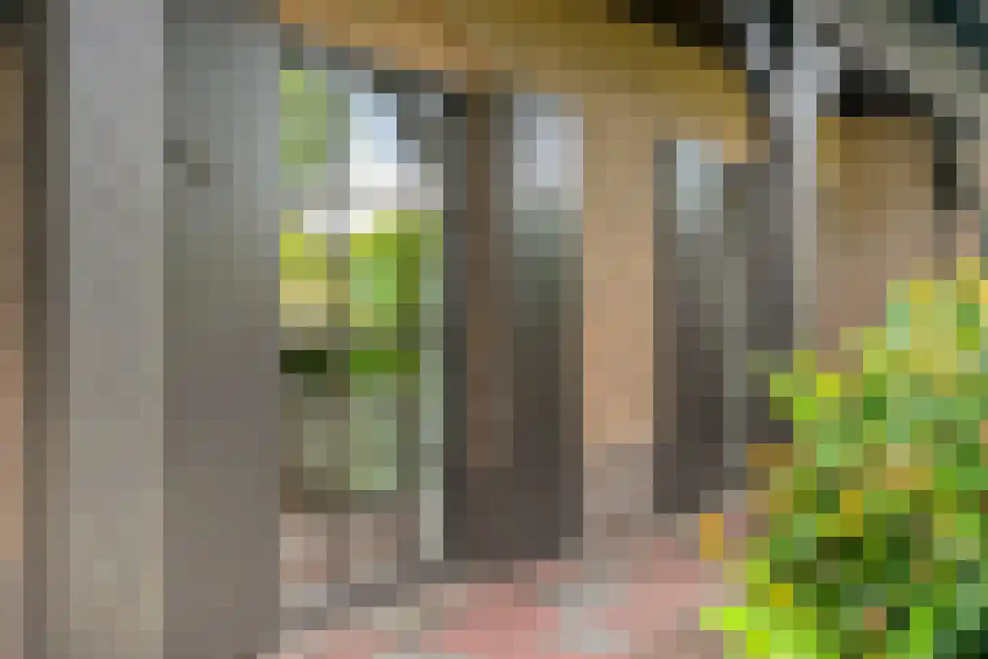 Albert Servaesstraat 6 Waalwijk thumbnail 59