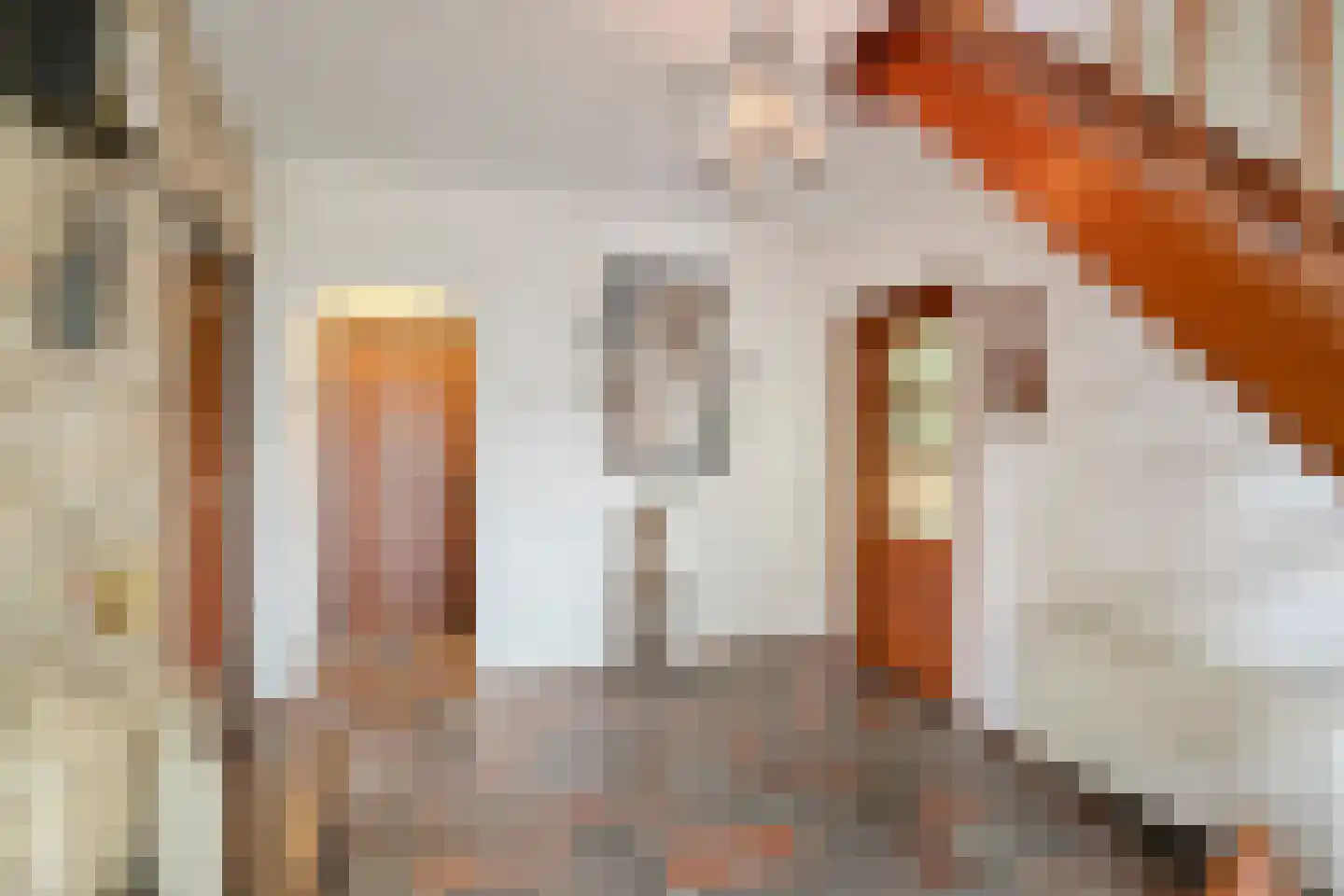 Albert Servaesstraat 6 Waalwijk thumbnail 6