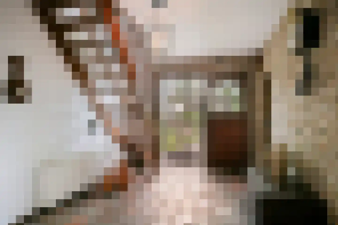 Albert Servaesstraat 6 Waalwijk thumbnail 7