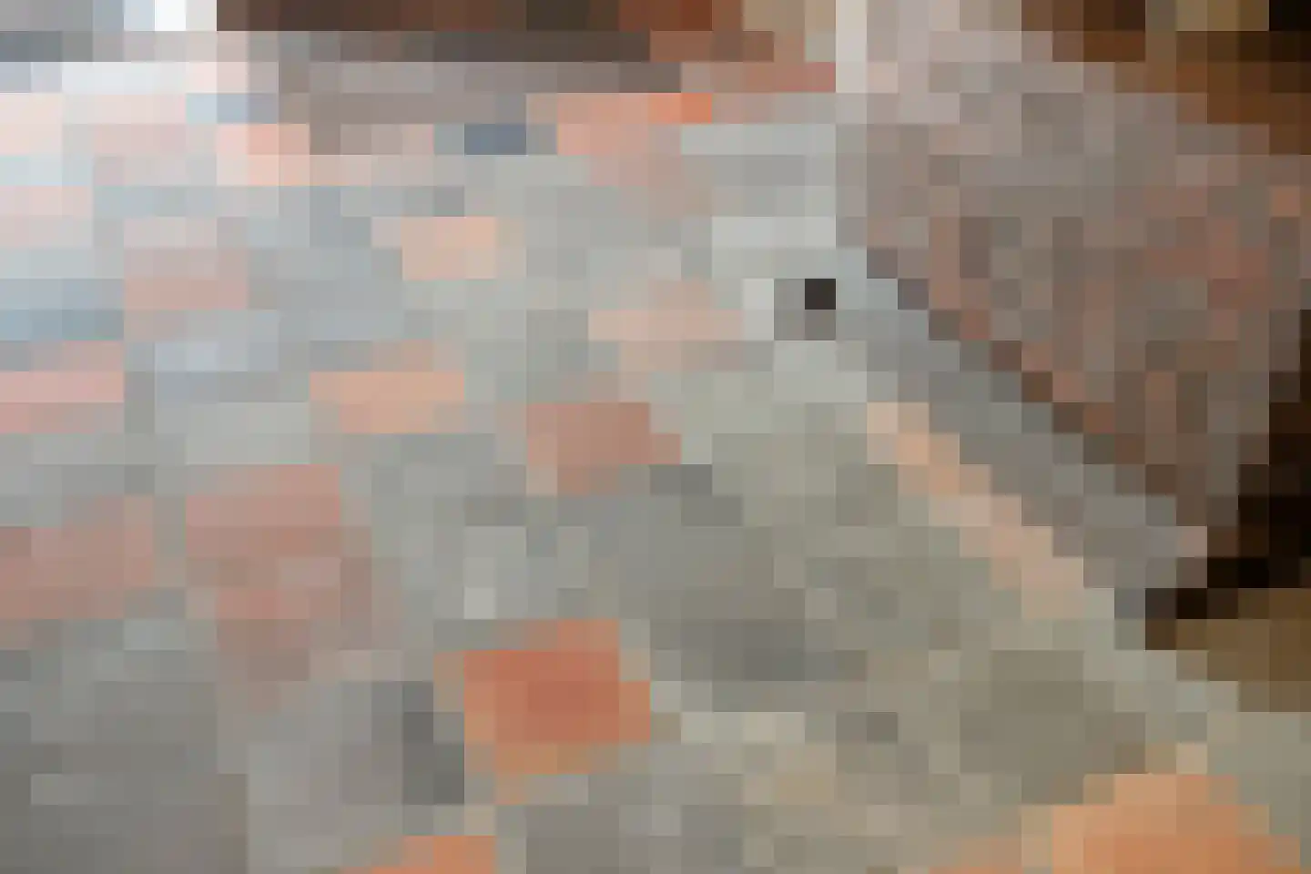 Albert Servaesstraat 6 Waalwijk thumbnail 8