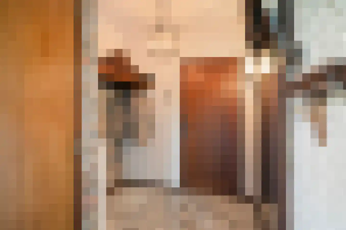 Albert Servaesstraat 6 Waalwijk thumbnail 9