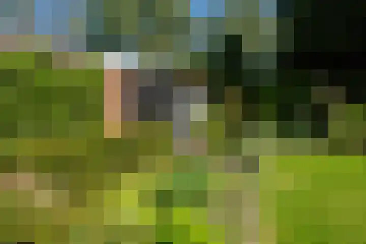 Albert Sommerstraat 6 Hengelo thumbnail 33