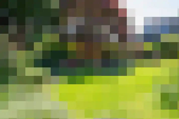 Albert Sommerstraat 6 Hengelo thumbnail 34