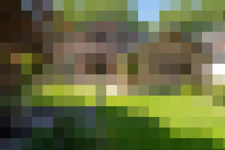 Albert Sommerstraat 6 Hengelo thumbnail 35