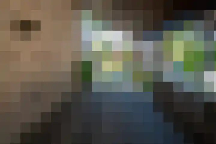 Albert Sommerstraat 6 Hengelo thumbnail 37