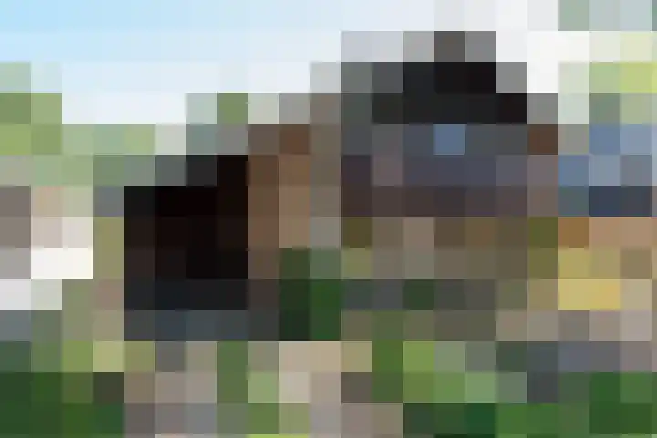 Albert Sommerstraat 6 Hengelo thumbnail 39