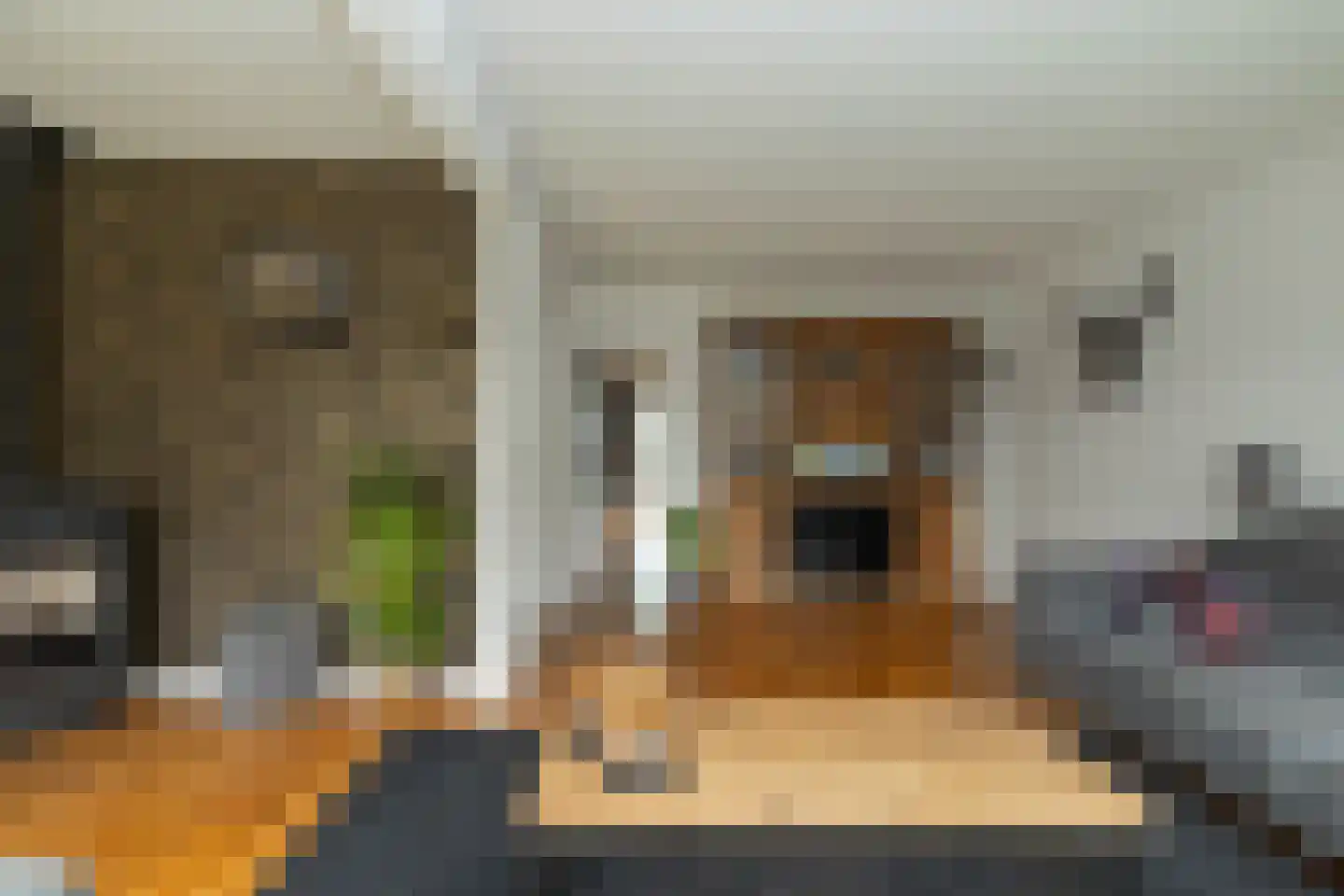 Albert Steenbergenstraat 2 b Hoogeveen thumbnail 17