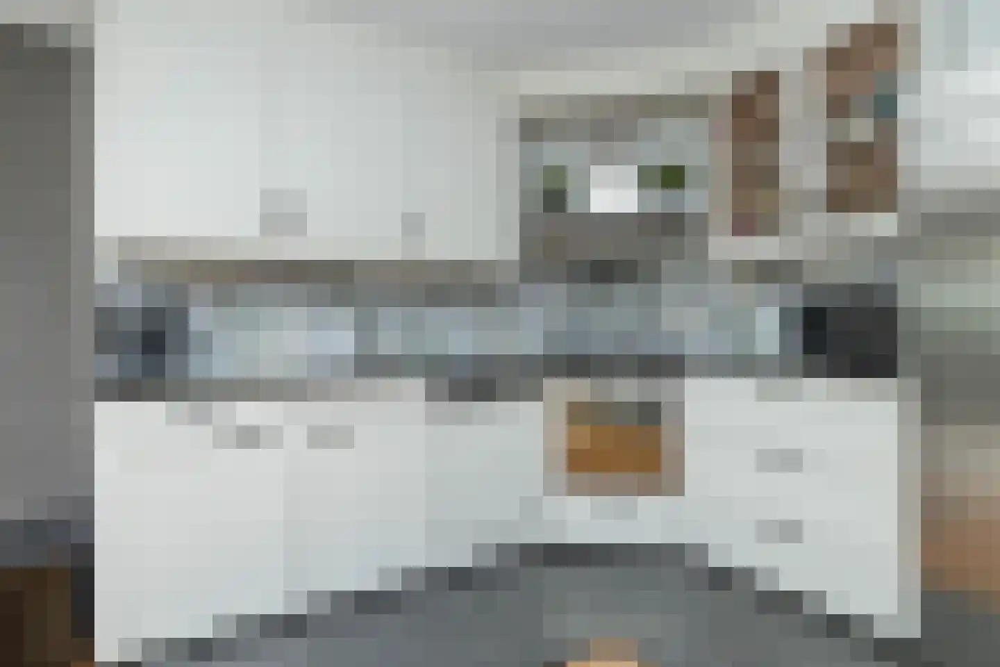 Albert Steenbergenstraat 2 b Hoogeveen thumbnail 20
