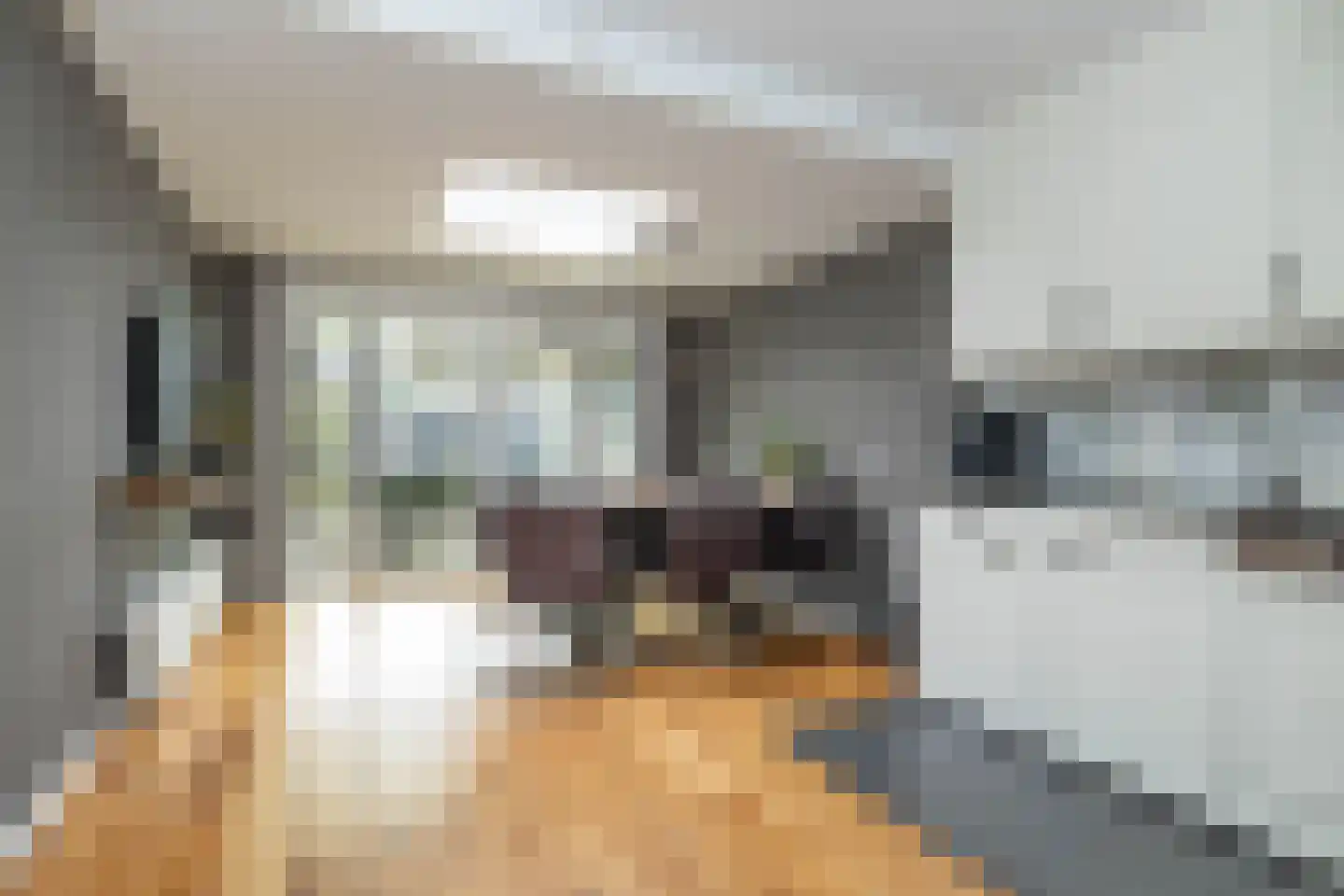 Albert Steenbergenstraat 2 b Hoogeveen thumbnail 4