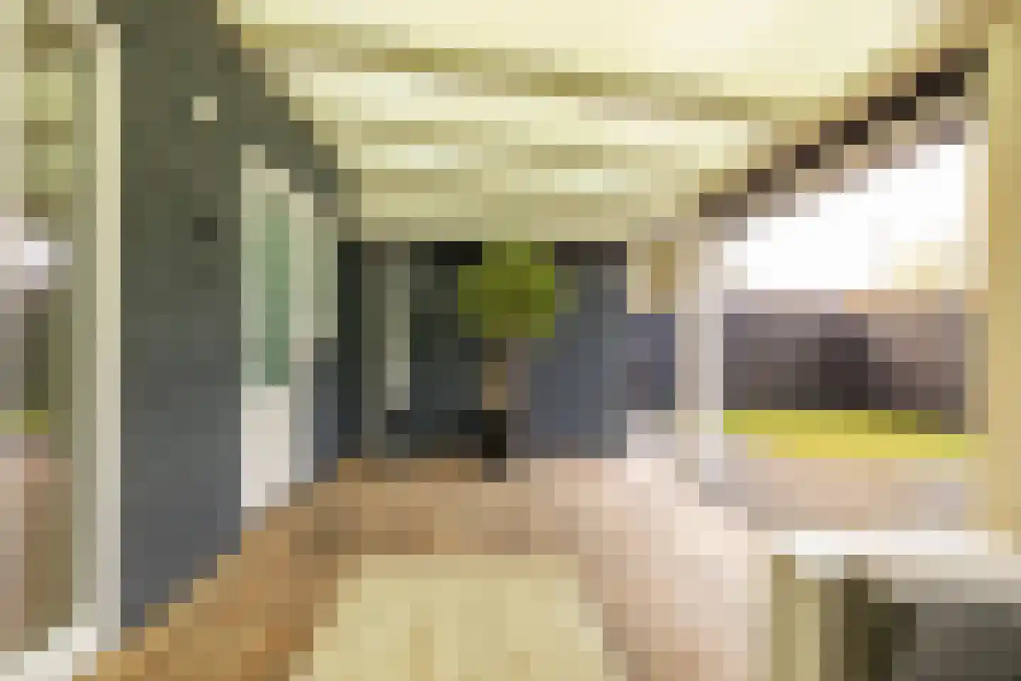 Albert Steenbergenstraat 2 b Hoogeveen thumbnail 52