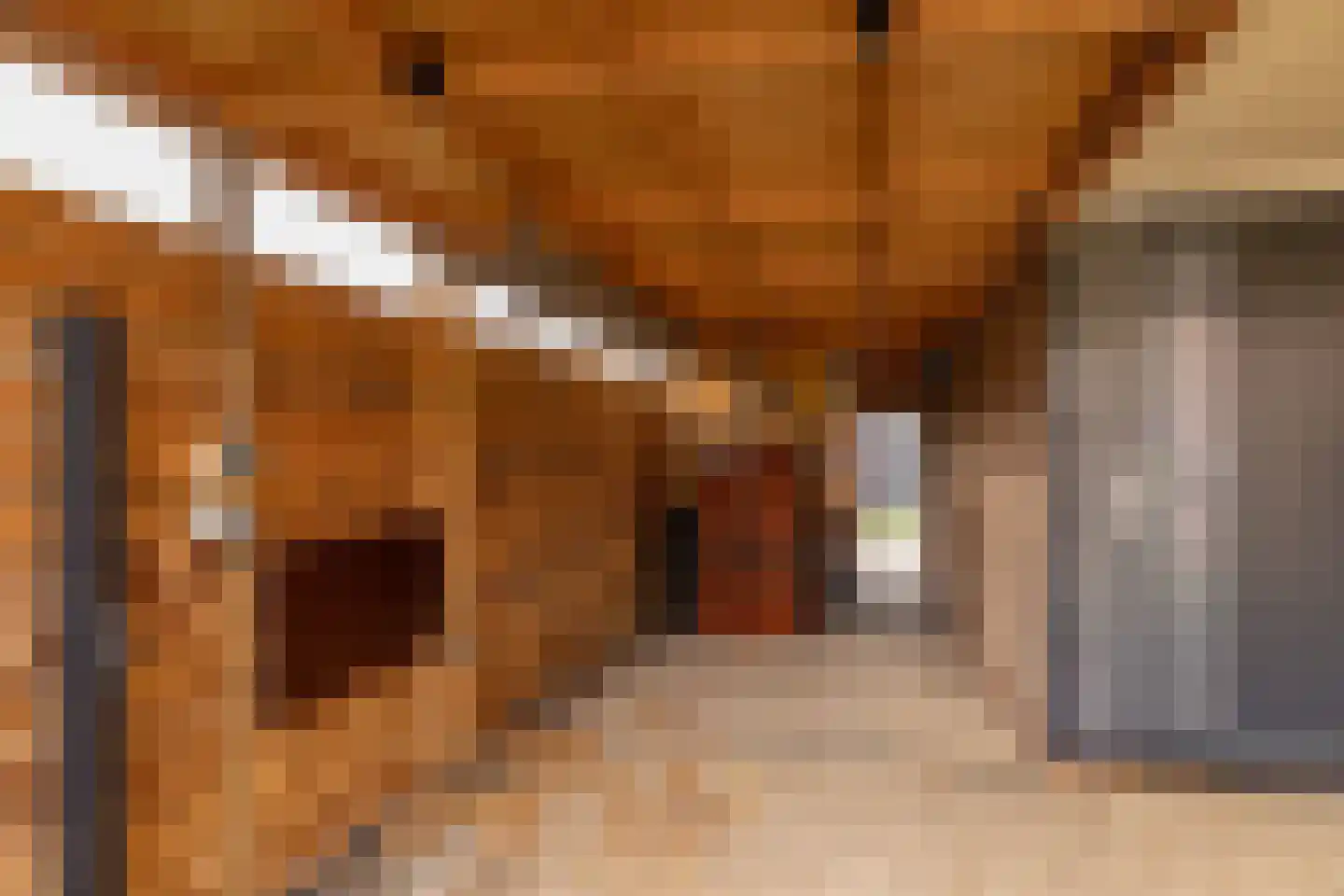 Albert Steenbergenstraat 2 b Hoogeveen thumbnail 53
