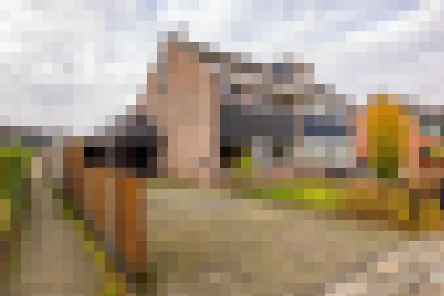 Albert Steenbergenstraat 2 b Hoogeveen thumbnail 58