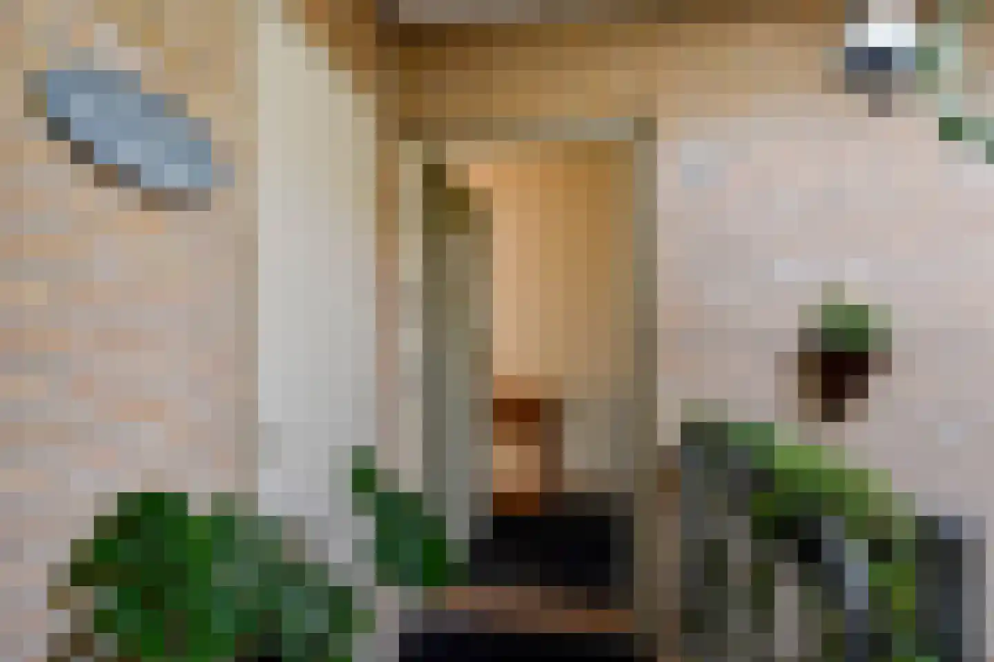 Albert Termotestraat 34 Den Haag thumbnail 8