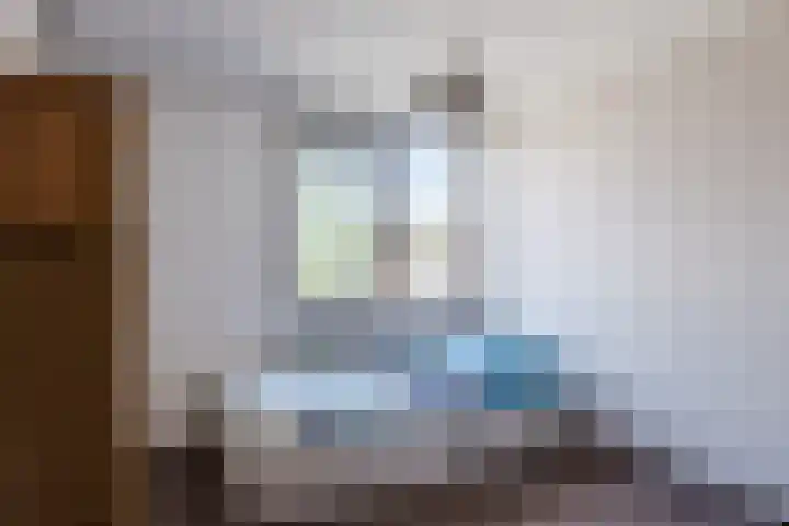 Albert Toriedreef 28 Meppel thumbnail 11