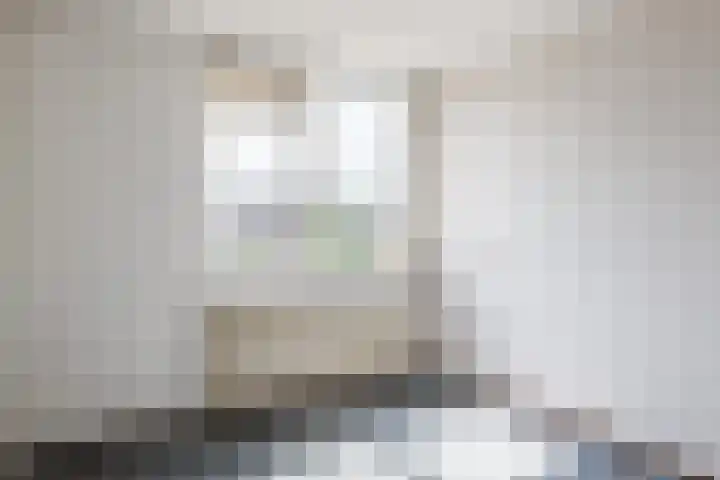 Albert Toriedreef 28 Meppel thumbnail 15